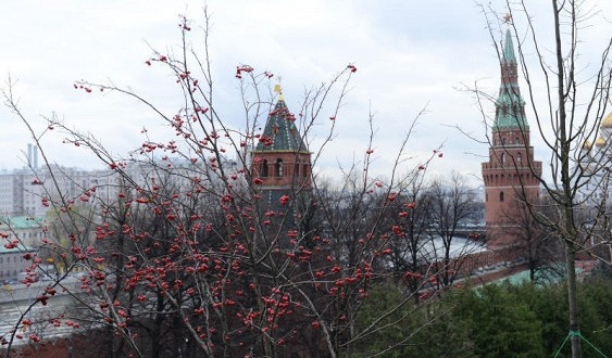 Ноябрь В Москве Фото Красивые