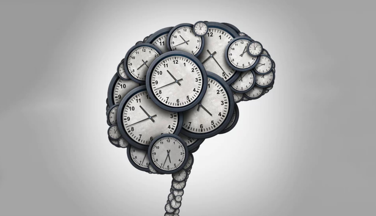 Timing. Часы мозг. Мозг и время. Время.